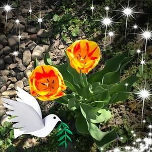 Meet your Posher, Janet